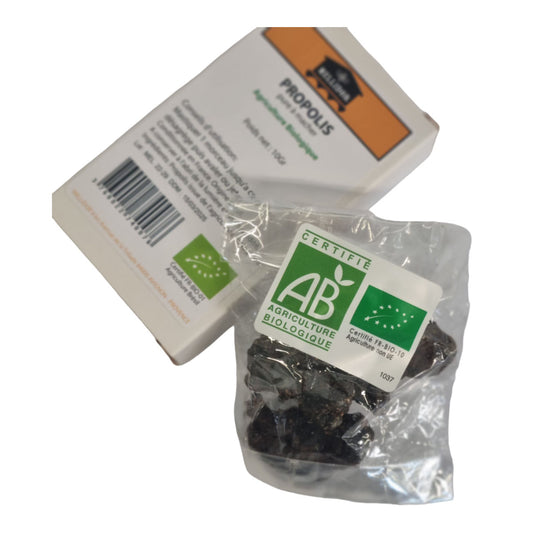 Pate à mâcher Propolis BIO