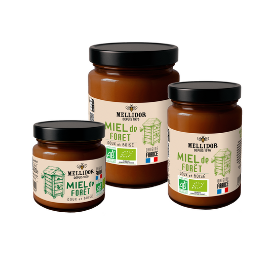 Miel de Forêt BIO origine France